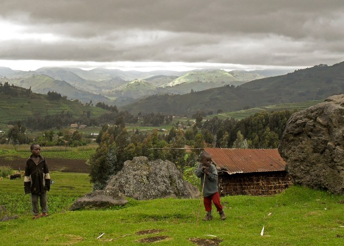 Gorillas - November 2010 026