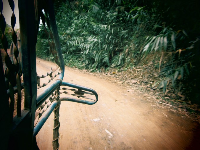 View from the back of a pickup
