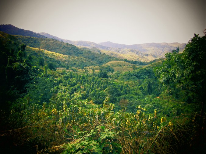 Stunning green hills