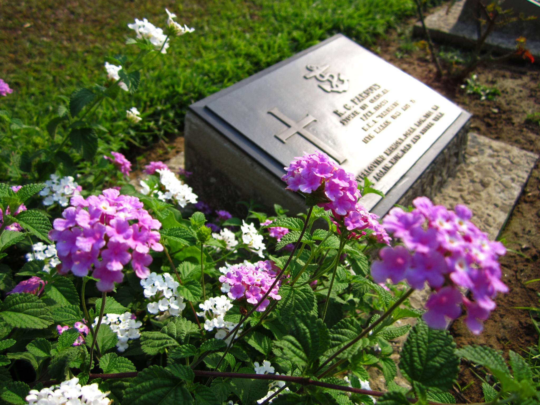 Graves are meticulously cared for