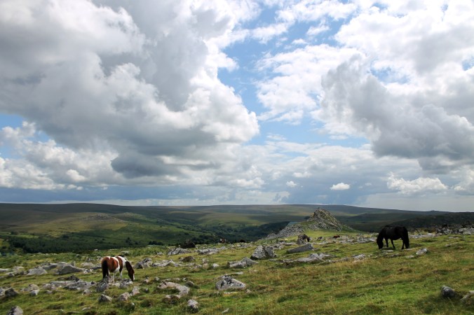 Dartmoor, Devon