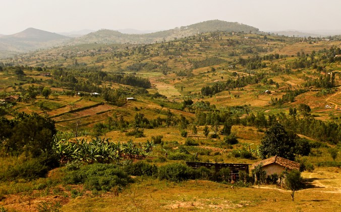 Rwanda hills