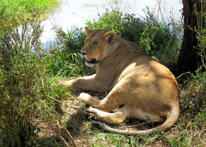 Tanzania and Zanzibar 2010 098