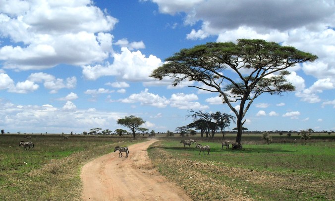 Tanzania and Zanzibar 2010 124