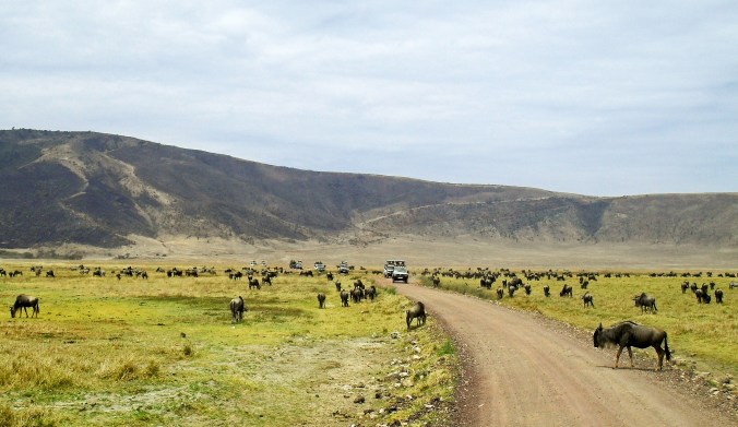 Tanzania and Zanzibar 2010 259